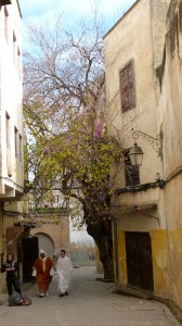 Imagen de tarde en Fez