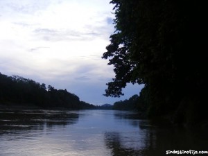 Selva en Borneo Kinabatangan