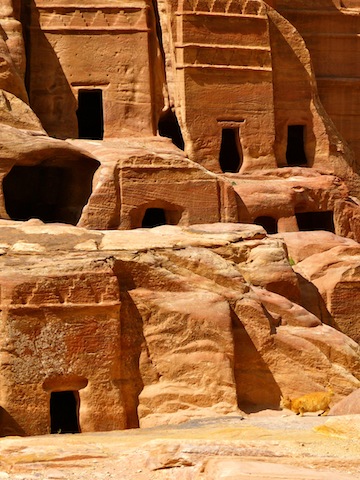 calle de las fachadas en Petra
