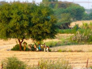 india rural