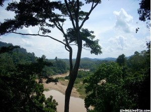 Selva Taman Negara Malasia